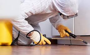 Best Residential Pest Control  in Paterson, NJ